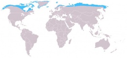 Utbredelseskart for Fjellrev